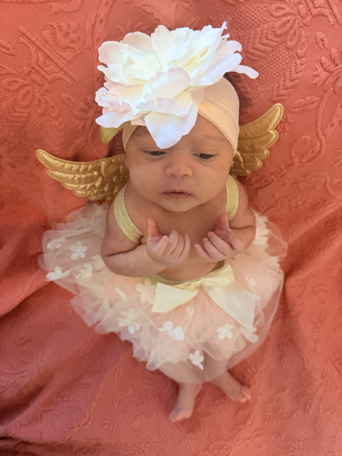 A newborn dressed as an angel with gold wings, a pink tutu, and a flower headband